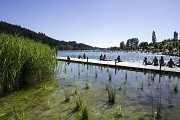 Cublize - Trail aux alentours du Lac des Sapins - Beaujolais Vert
