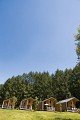 Cublize - Trail aux alentours du Lac des Sapins - Beaujolais Vert