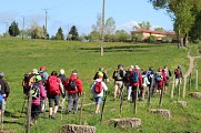 De Brindas à Feurs, le Chemin de Montaigne (GR®89)