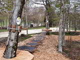 Sentier de découverte : "L'Arboretum de l'Hort de Dieu"