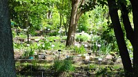 Jardin botanique de la Charme