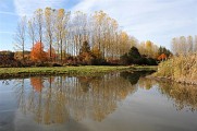 Marais de Lambre