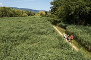 Réserve Ornithologique de Haute-Provence