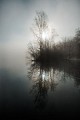 Espace Naturel Sensible de la Save - Secteur du lac de Save