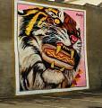 Street Art Rauky
