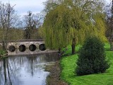 Dangeau - Pont