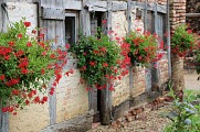 Ferme de Montalibord : Écomusée