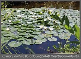 La mare du parc botanique