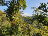 Trace des Monts Caraibes