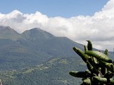 Trace des Monts Caraibes