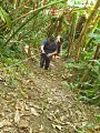 Trace des Monts Caraibes