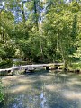 Le Pont Thierry