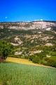 Saint-Lions