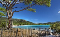 La plage d'i Pini, péninsule de Palombaggia