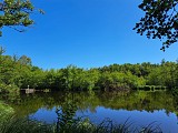Marais de l'étang de Bizadan, ENS de l'Ain