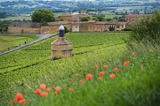 Bagnols - Traverse des Pierres Dorées n°12