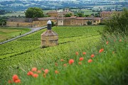Bagnols - Traverse des Pierres Dorées n°12
