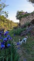 Les jardins du Marchidial