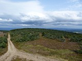 Le Mont-Mouchet au départ de Paulhac en Margeride