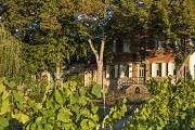 Circuit de la Rivière à la Vigne 1 - Départ de Meillard - PR 6
