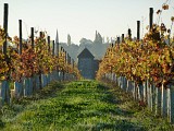 Circuit de la Rivière à la Vigne 1 - Départ de Meillard - PR 6
