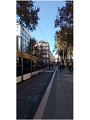 Le cours Belsunce et le cours Saint-Louis