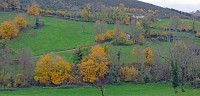 Les Sauvages - Jusqu'au Mont des Salles