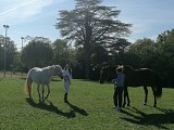 Tour de l'Arédie