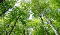 Les coteaux de l'Arros
