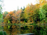 Haute-Saône - Base VTT des Mille Etangs