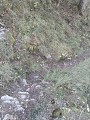 Sentier