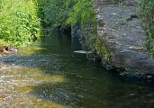 Baignade - les Gorges de Capoue