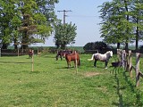 LOI_rocquefort-centre-equestre©otpcm-2019.jpg (7)