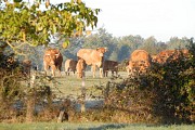 Sentier Eole - La Tâche