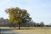 Sentier Eole - La Tâche