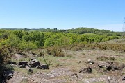 Lande de Saint-Laurent