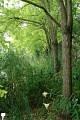 Parc de l'Abrégement