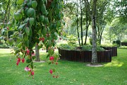 Parc floral Jean Pierre Lanson