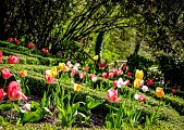 Les Jardins de l'Argentor