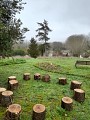 Jardin du gui