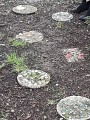 Jardin du gui