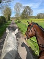 Sentier de la Pierre Folle - Aunac