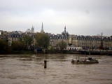 DSC03234