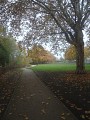 DSC03236