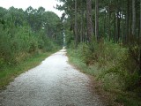 P1110178