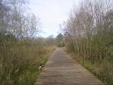 DSC00525-2