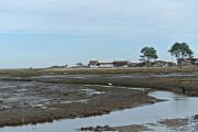 DSC-2425
