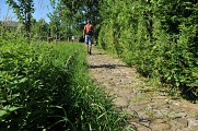 Autour de Sare