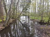 Avre de nature