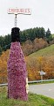 Chiroubles - Dans les vignes
